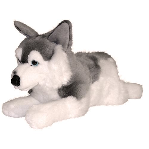 Husky, liggande, 60cm