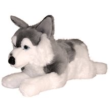 Husky, liggande, 60cm